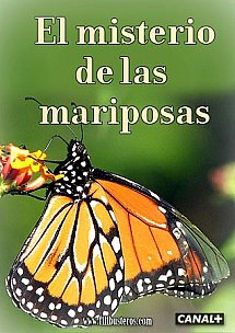 El misterio de las mariposas | DVDrip | Mega